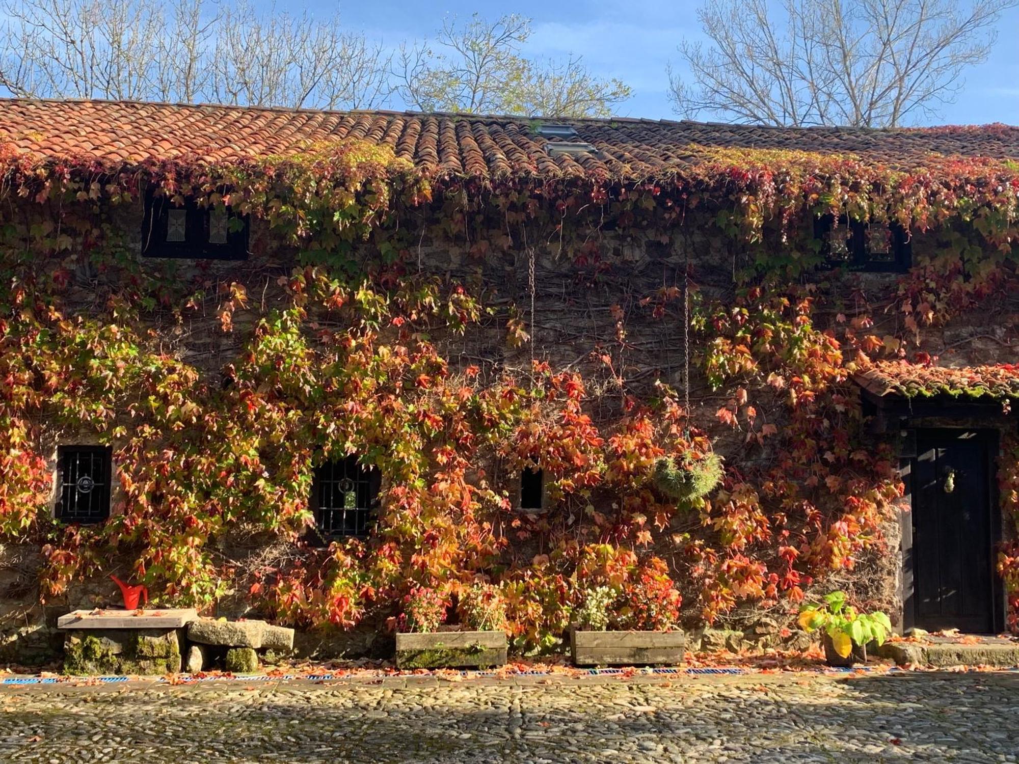 Remanso Del Rio Saja Villa Renedo De Cabuerniga Exterior foto